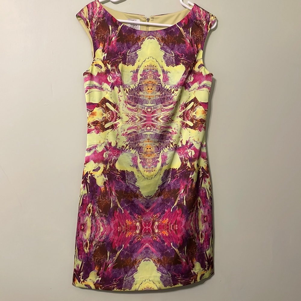 Suzi Chin for Maggy Boutique Dress